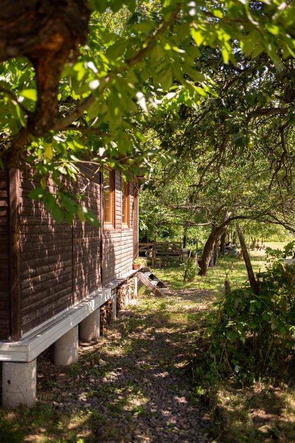 Apartamento Barna Faház Tarnaszentmaria Exterior foto